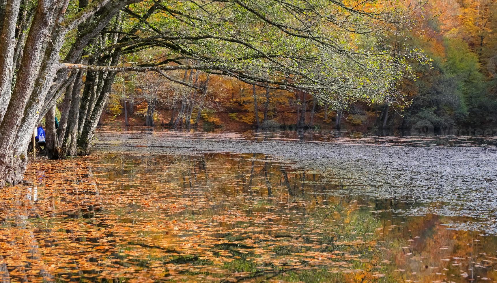 derin sjö i yedigoller nationalpark, Turkiet foto