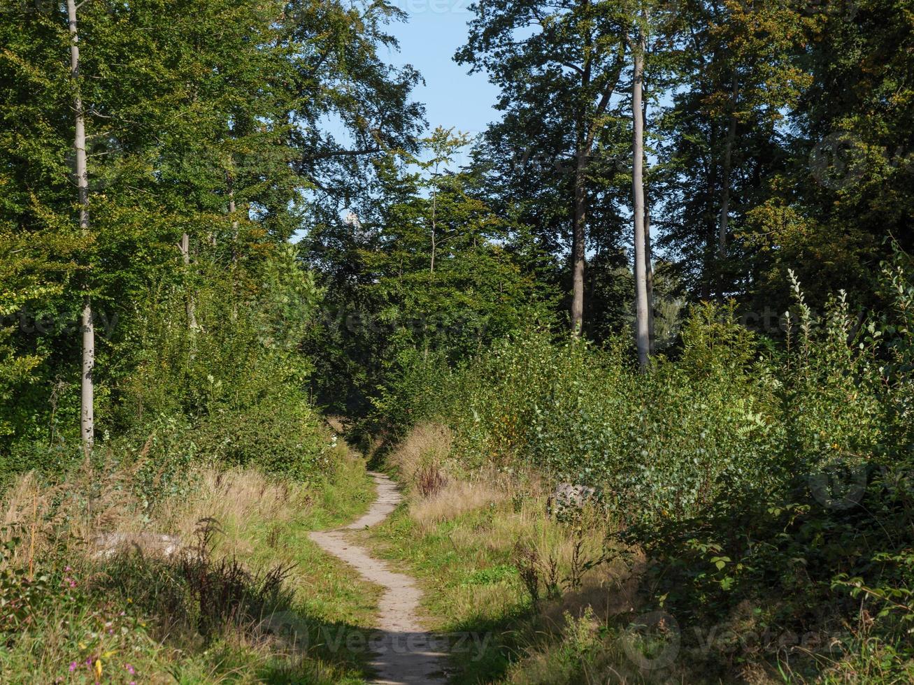 staden legden i westfalen foto