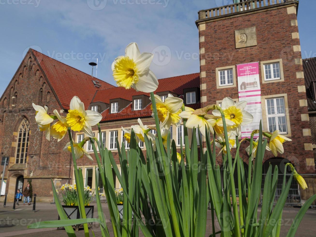 staden borken i westfalen foto