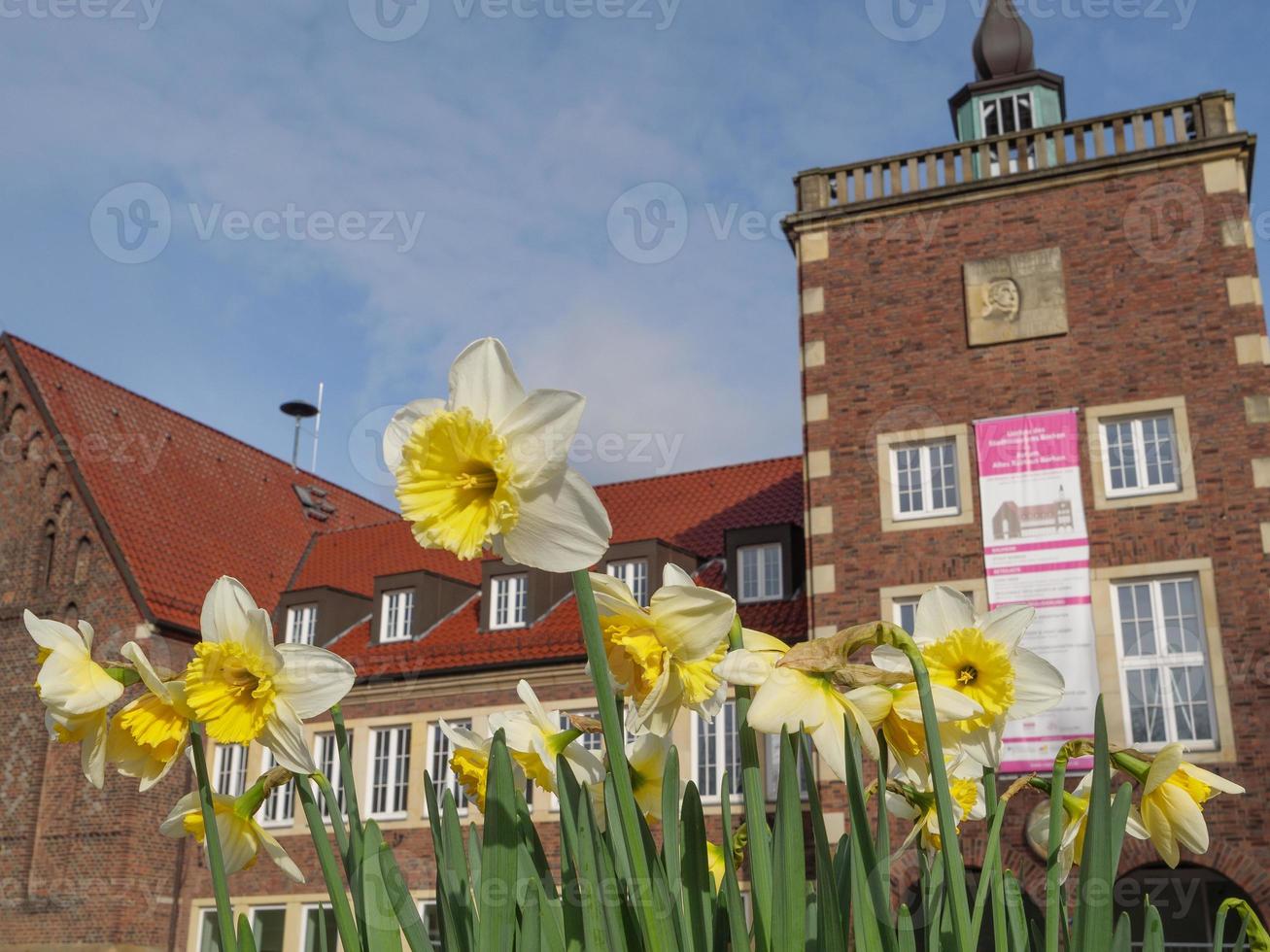 staden borken i westfalen foto