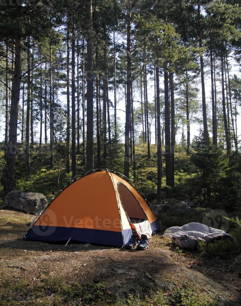 vild camping - litet orange tält i en skog i sverige foto