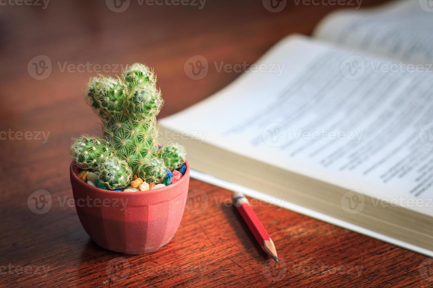 affärsidé med kaktusblyertspenna och en bok foto