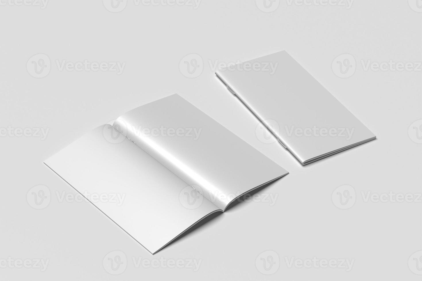 dl bifold broschyr tomma mockups foto