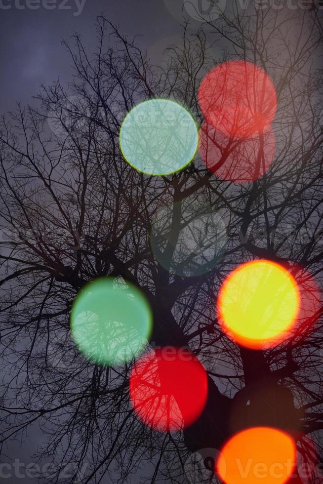 abstrakt träd med ljus och dubbel exponering foto