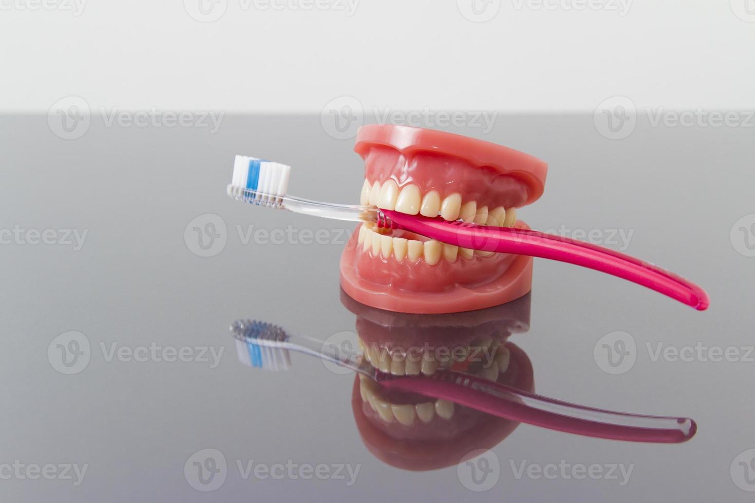 tandhygien och renlighet koncept. foto