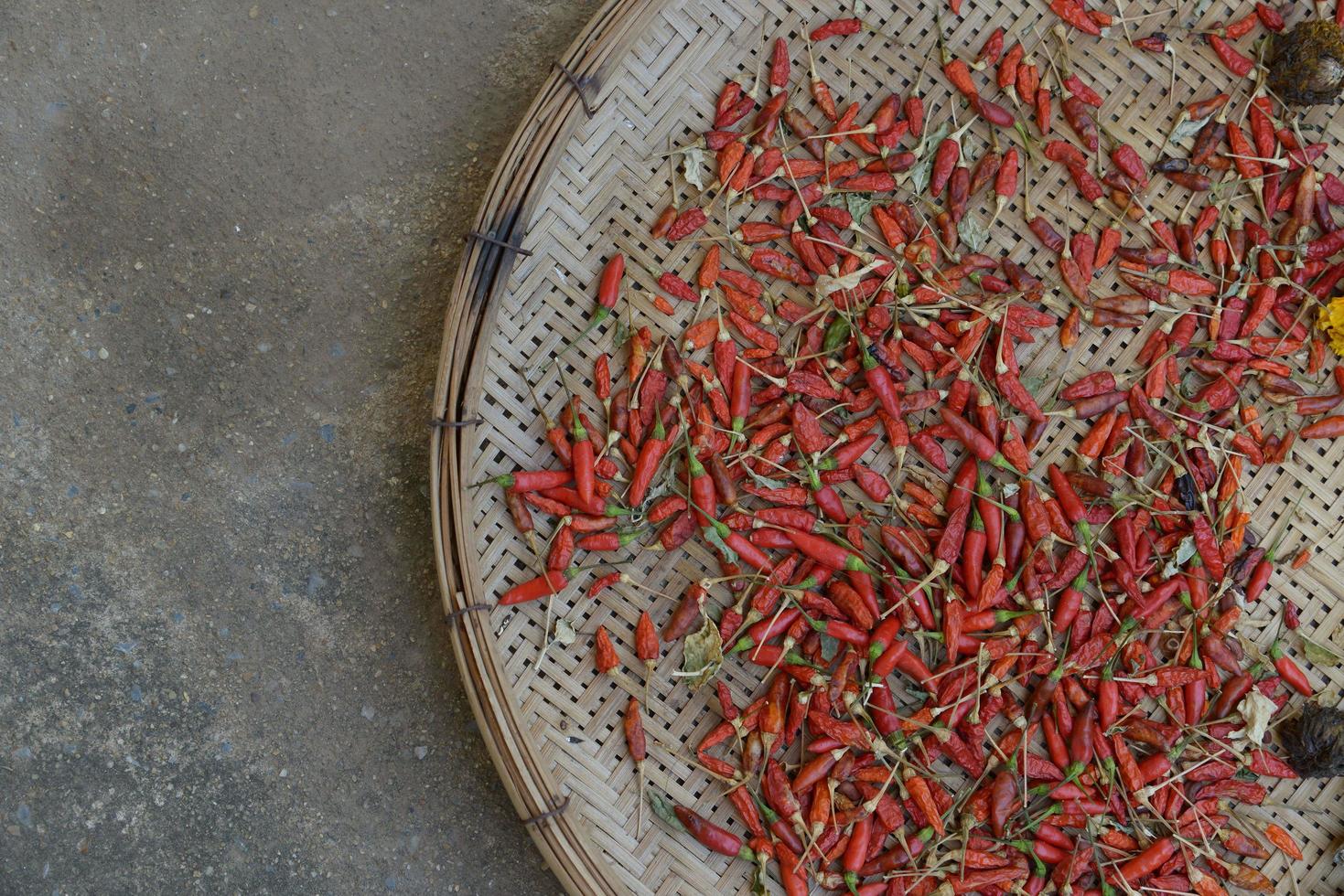 torkad röd paprika foto