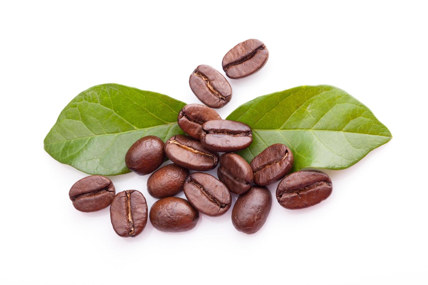 kaffekorn och blad på vit bakgrund foto