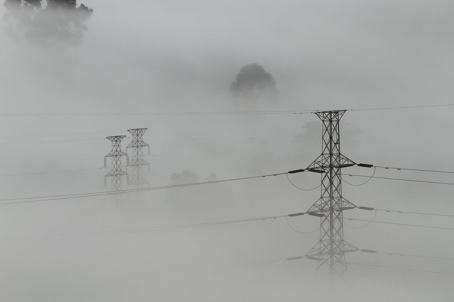 elektriska kraftledningar och pyloner som dyker upp ur dimman foto