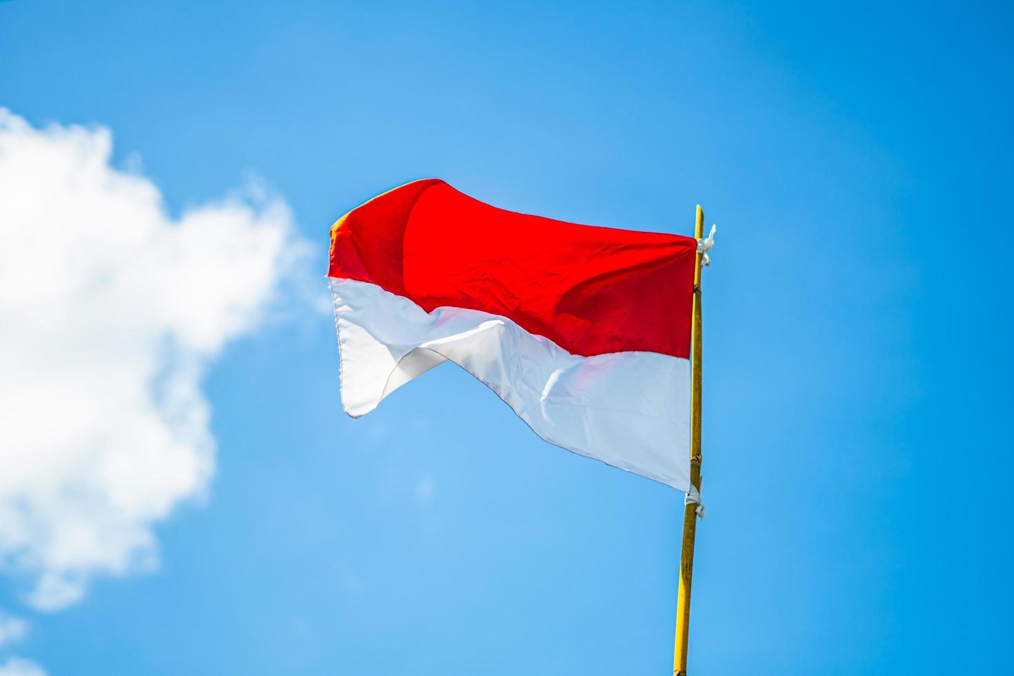 indonesiska flaggan med himmel bakgrund foto