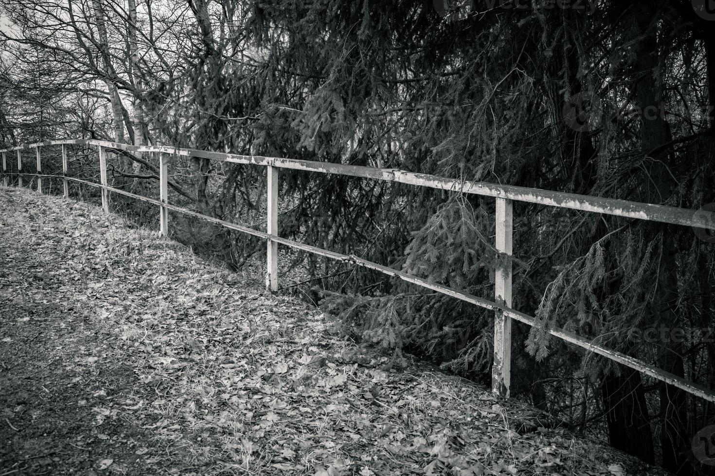 gammalt räcke i naturen foto