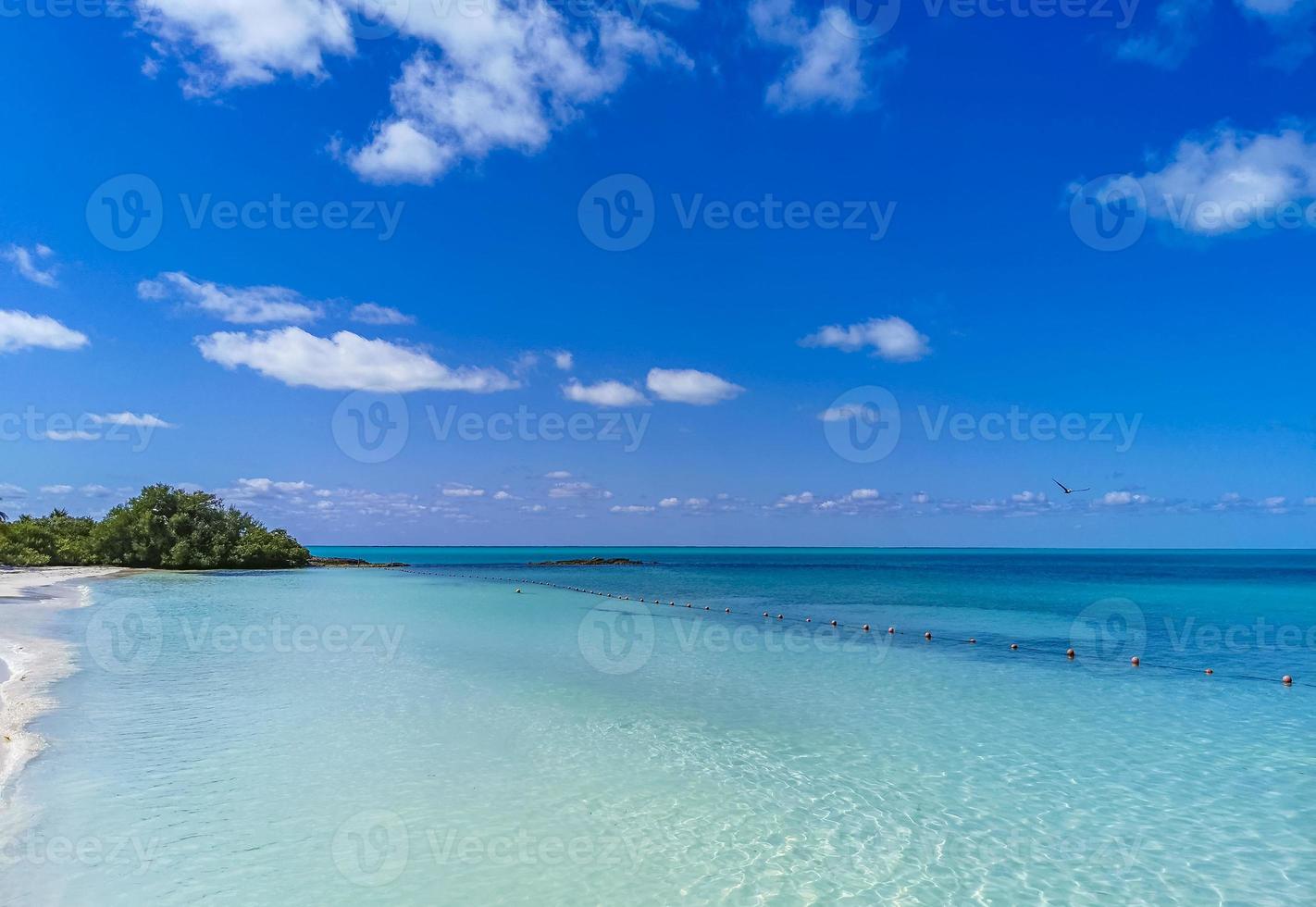 vacker tropisk naturlig strand paradis panorama contoy island mexico. foto