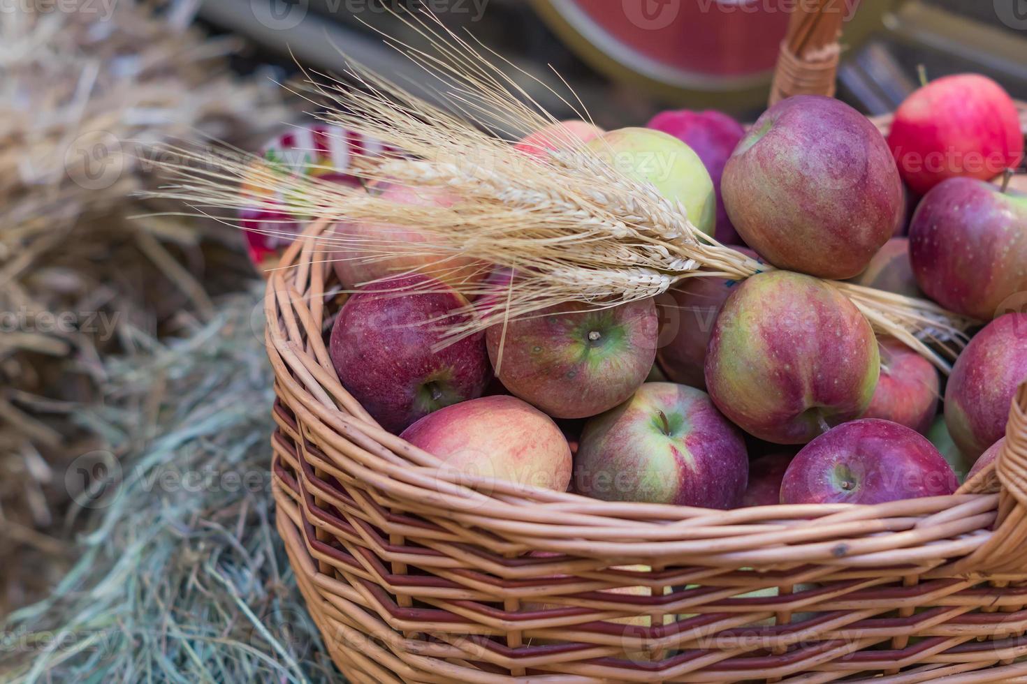 närbild av röda mogna äpplen i en korg på bondens marknad foto