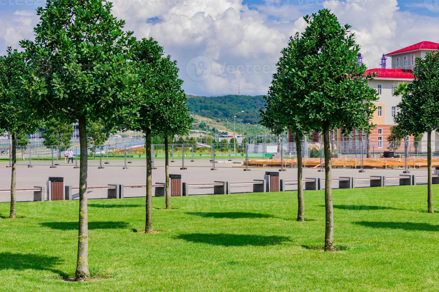 stadspark i sochi på sommaren. foto