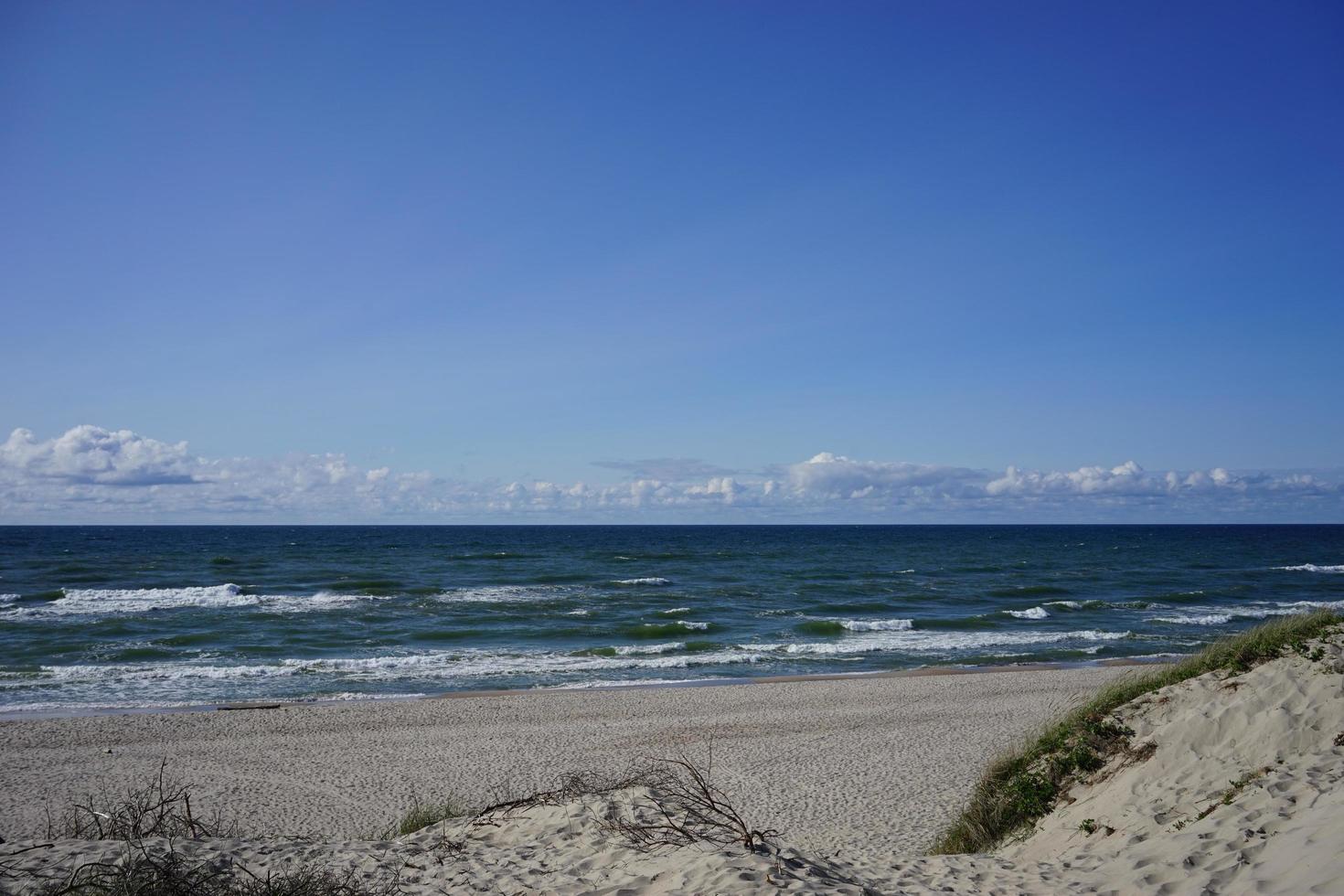 havslandskap med utsikt över sanddynerna foto