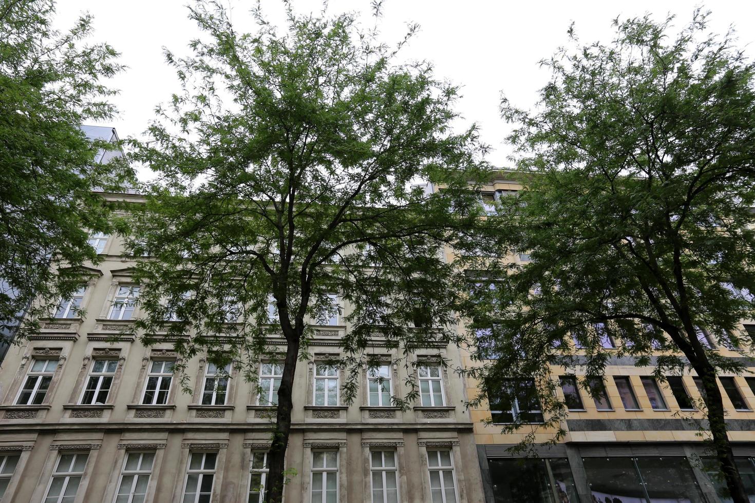 ljubljana slovenien 15 maj 2018. stor stad vid floden ljubljanica. foto