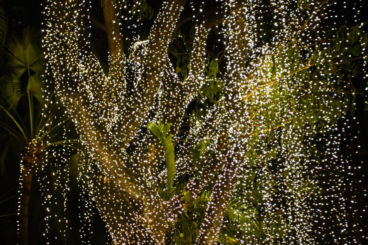 dekorativa utomhus ljusslingor hängande på träd i trädgården på natten foto