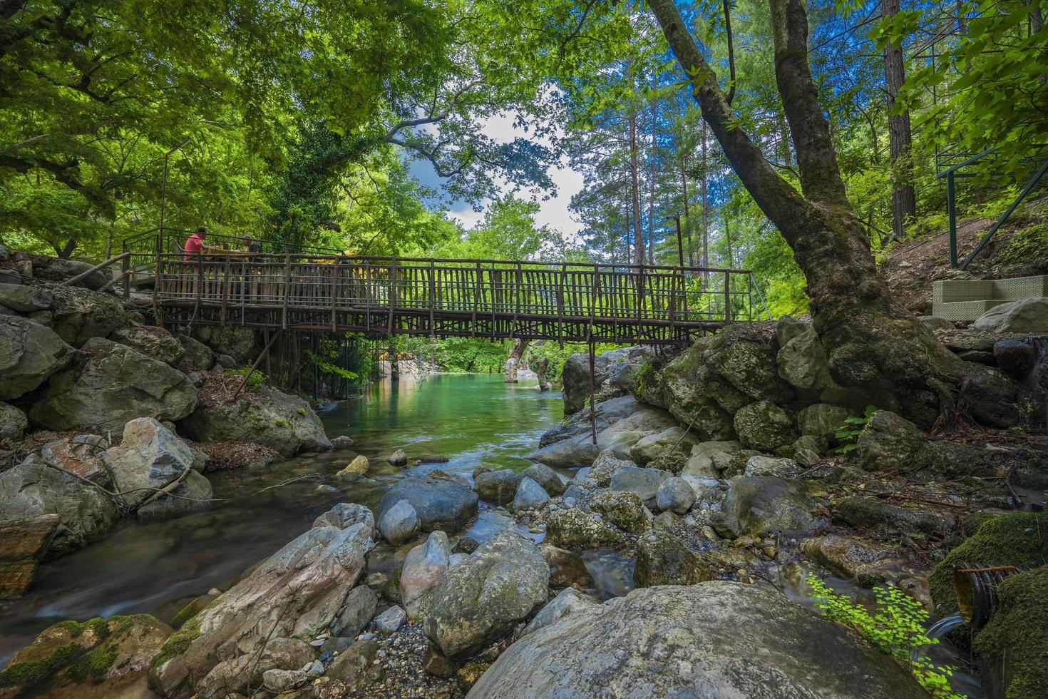 berg flod ström vattenfall grön skog landskap natur växt träd regnskog djungel foto