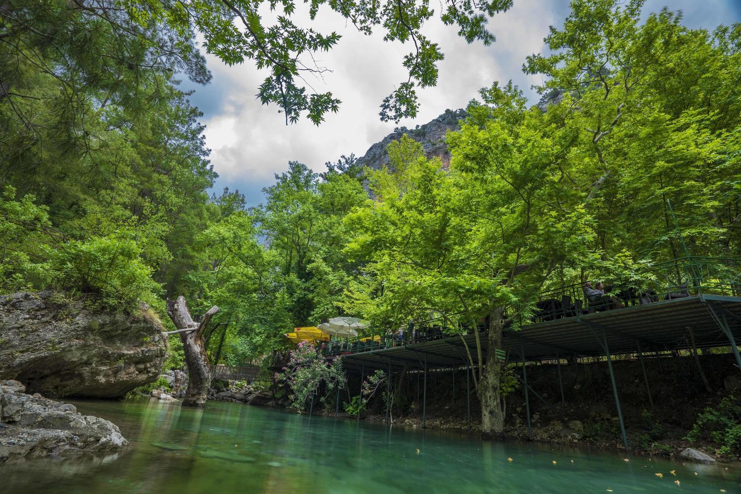 berg flod ström vattenfall grön skog landskap natur växt träd regnskog djungel foto