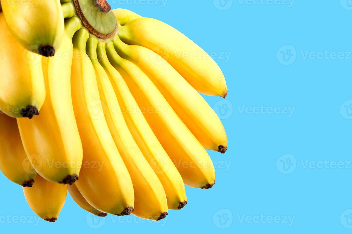 knippa av bananer på en blå bakgrund. utsökt mogen bananer. foto