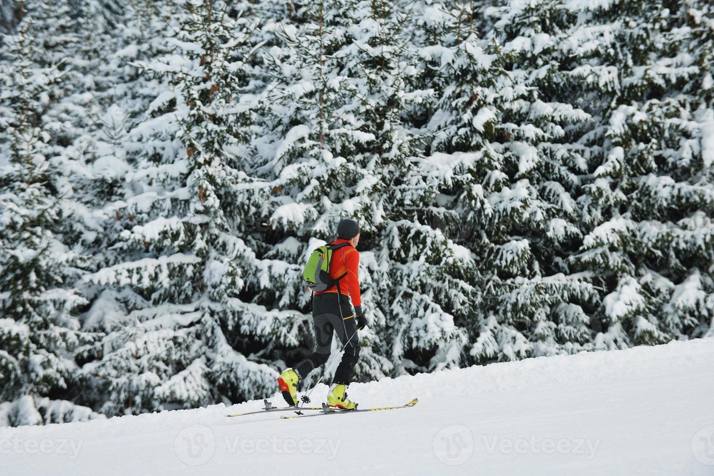 vinter- människor roligt och åka skidor foto