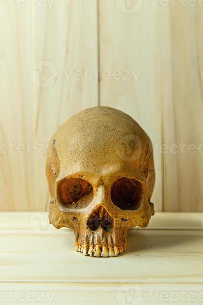 mänsklig skalle på trä för kroppsmänniska eller halloweeninnehåll. foto