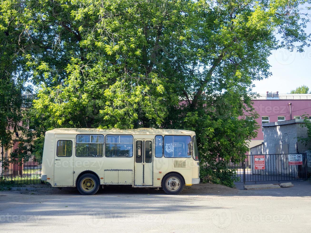 paz 3206. buss i de parkering massa. foto