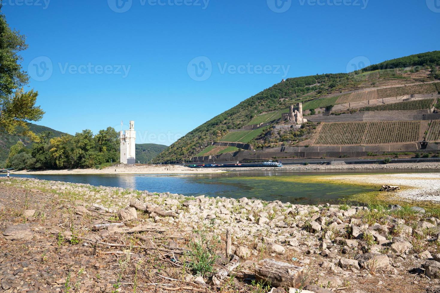 torka i Tyskland, låg vatten på Rhen flod stänga till bingen, Tyskland foto