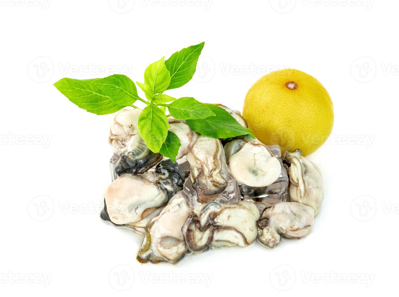 ostron med citron och bladbasilika isolerad på en vit bakgrund foto