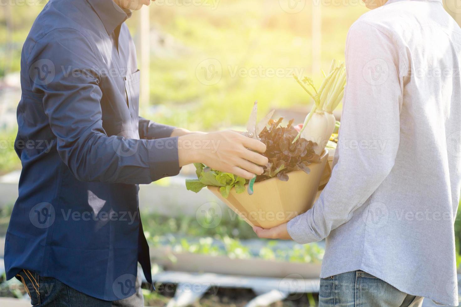 vackra unga asiatiska två man plockar upp färska ekologiska grönsaker med korg tillsammans i den hydroponiska gården, skörd och jordbruk och odling för hälsosam mat och affärsidé. foto