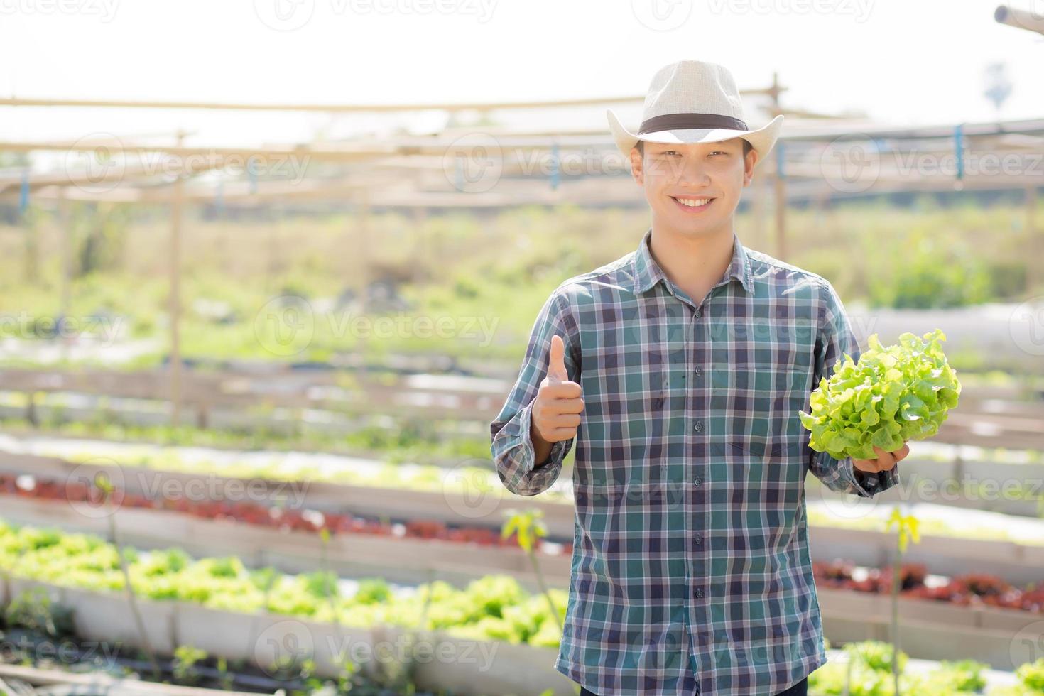 ung asiatisk man bonde håller och visar färsk organisk grön ek sallad och gest tummen upp i gård, producera och odling för skörd jordbruk grönsak med företag, hälsosam mat koncept. foto