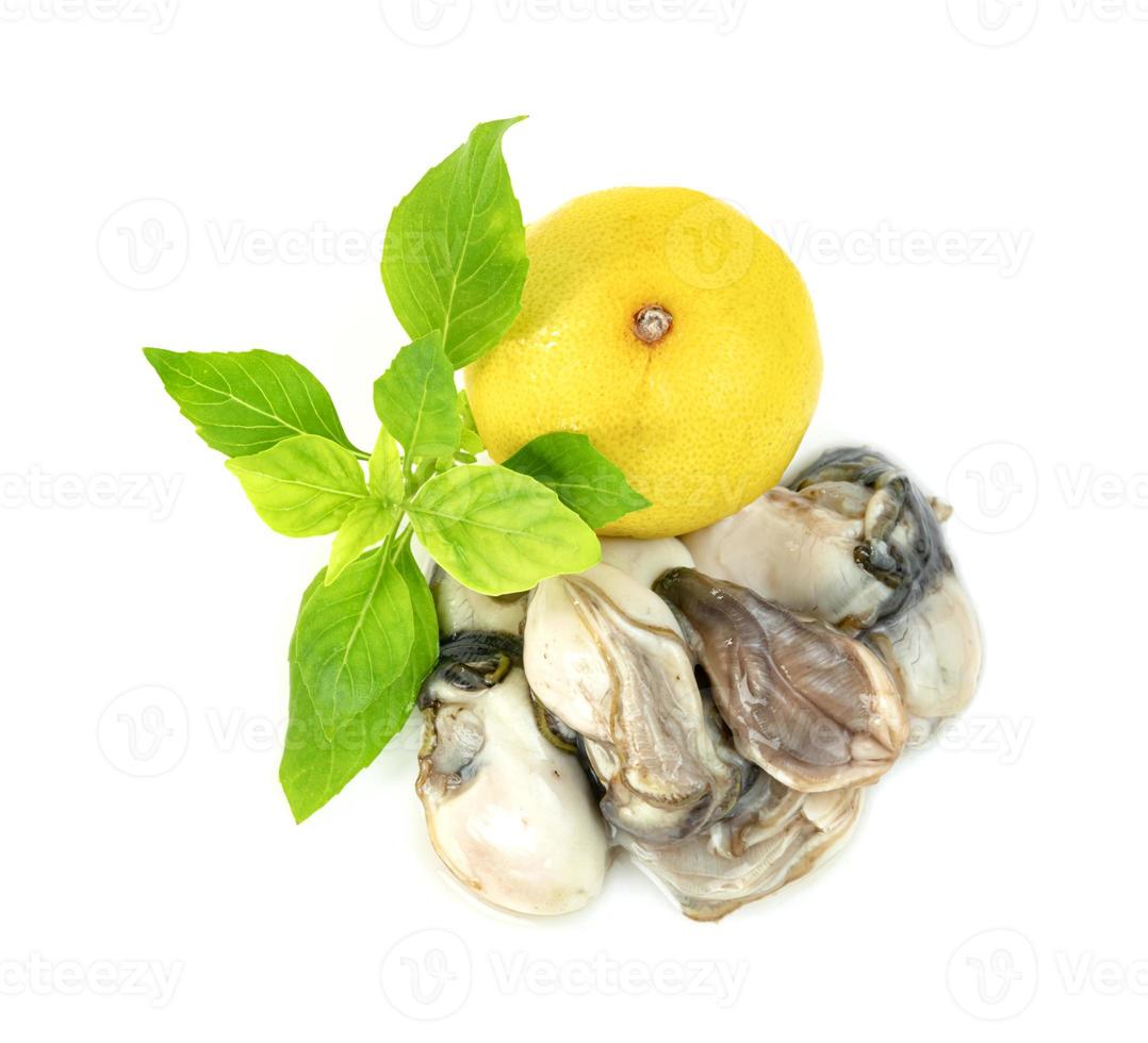 ostron med citron och bladbasilika isolerad på en vit bakgrund foto