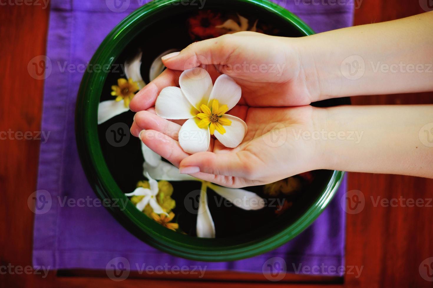 kvinnlig hand och blomma i vatten foto