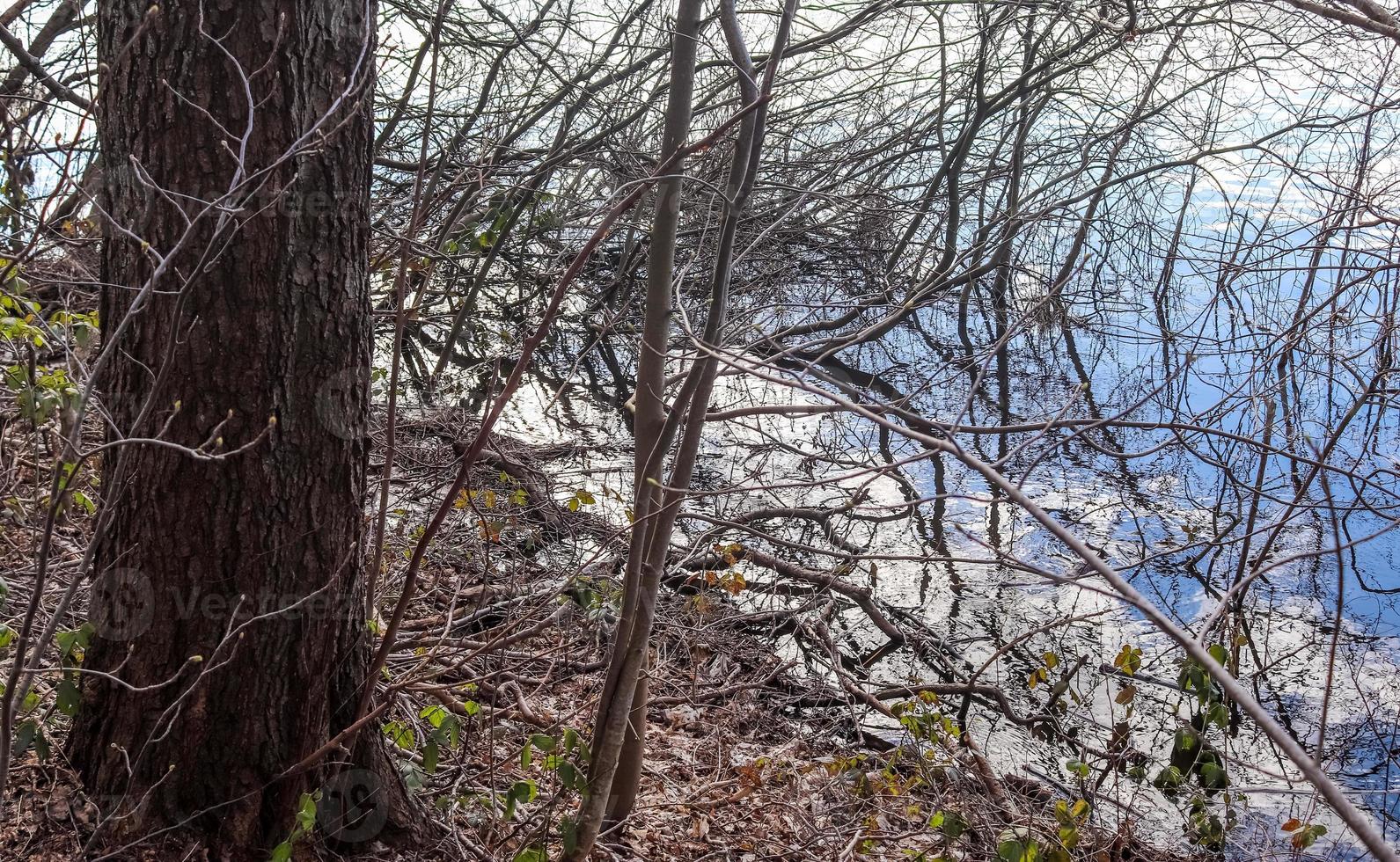 vackert landskap vid en sjö med en reflekterande vattenyta foto