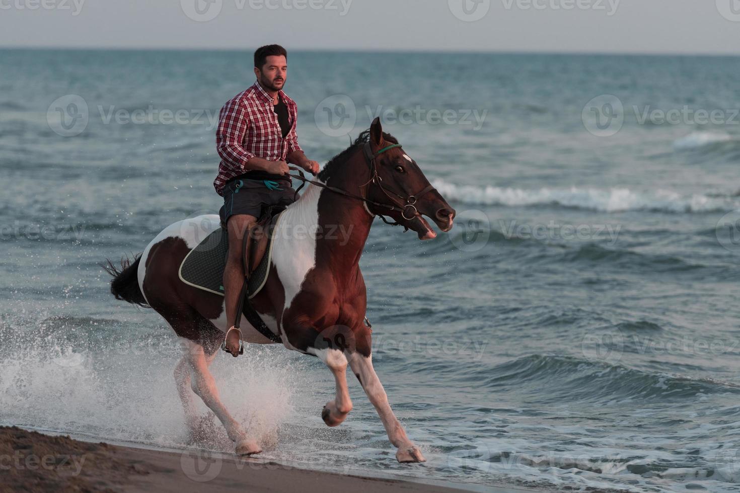 en modern man i sommar kläder åtnjuter ridning en häst på en skön sandig strand på solnedgång. selektiv fokus foto