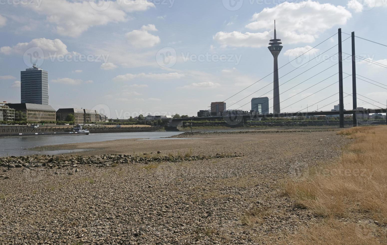 klimat förändra - de Rhen minskar och gräs vänder brun under en svår torka i Düsseldorf, Tyskland foto