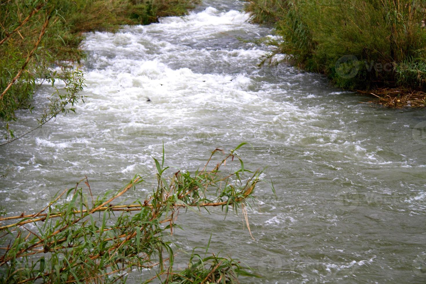grön strömmande flod över stor stenar och stenblock med dimma och sten klippa i bakgrund foto