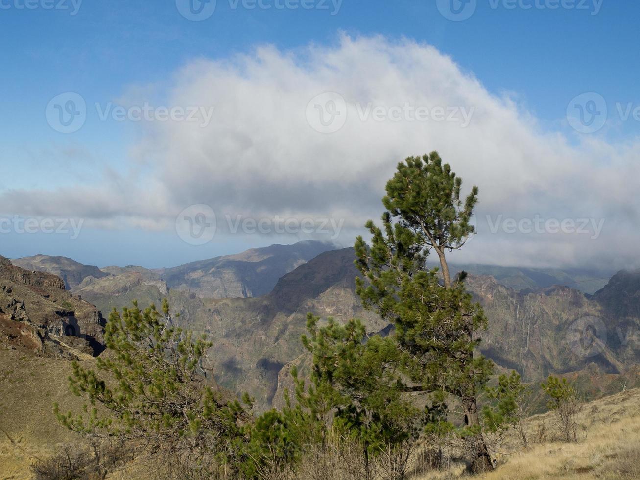 ön madeira foto