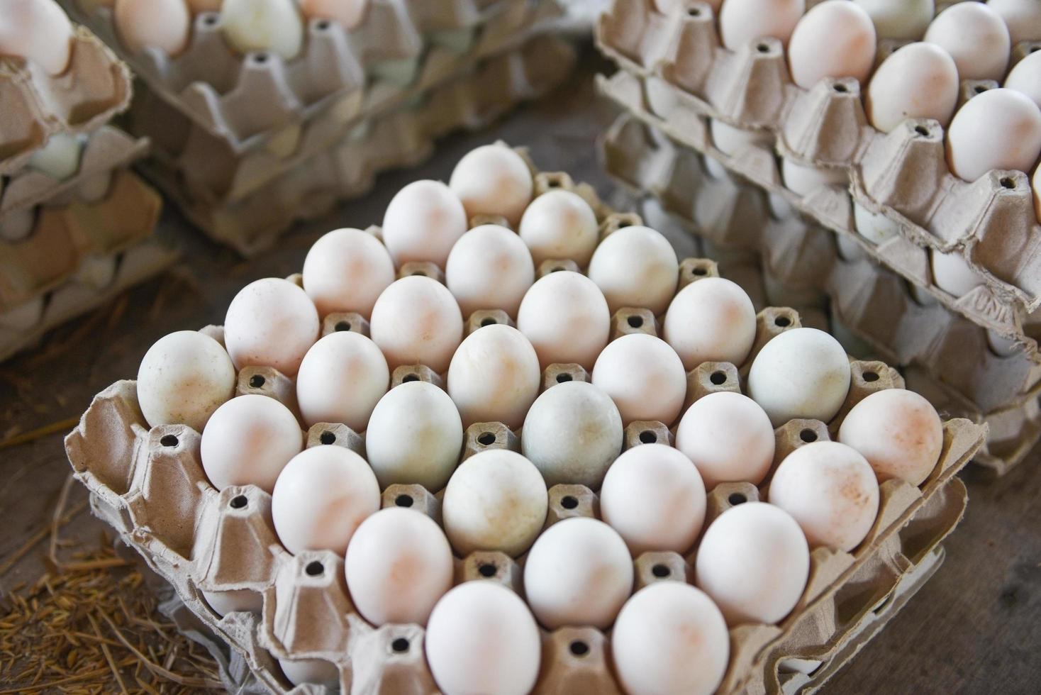 färska ägg vit anka ägglåda - producera ägg färska från gården ekologiska foto