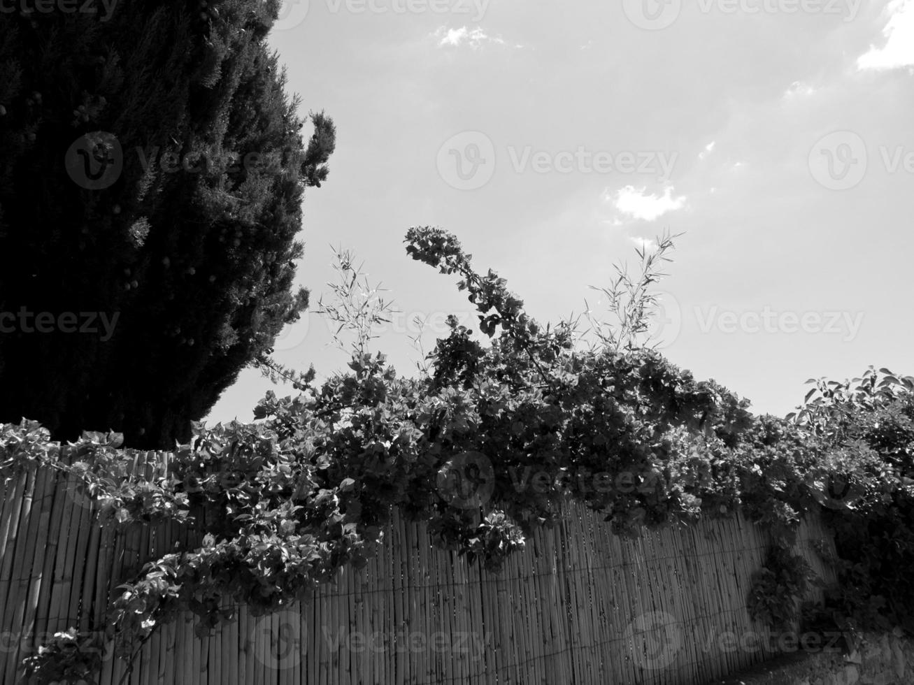 le castellet i Frankrike foto