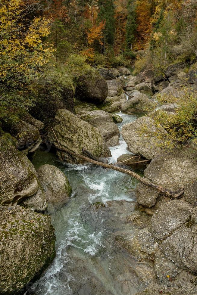 de alps i bavaria foto