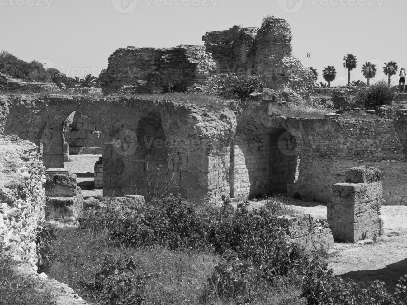 tunis i tunisien foto