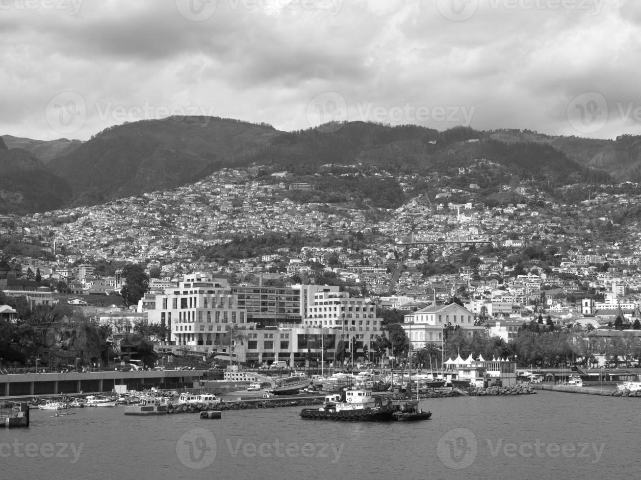 ön madeira foto