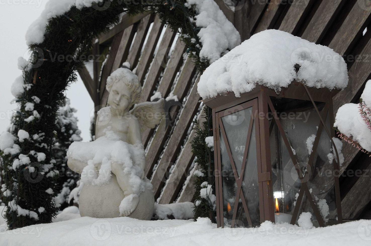 vinter- i de trädgård foto