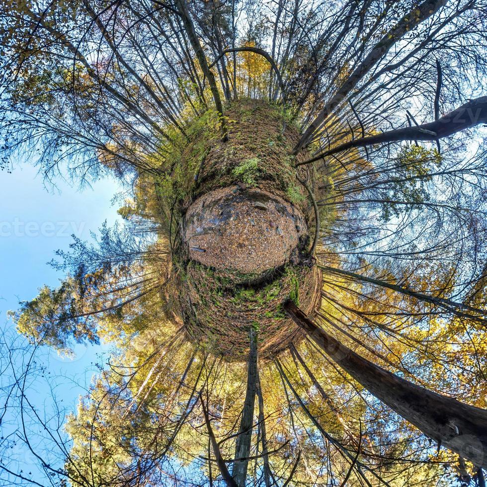 liten planetomvandling av sfäriskt panorama 360 grader. sfärisk abstrakt flygfoto i höst skog med klumpiga grenar i guld höst. utrymmets krökning. foto