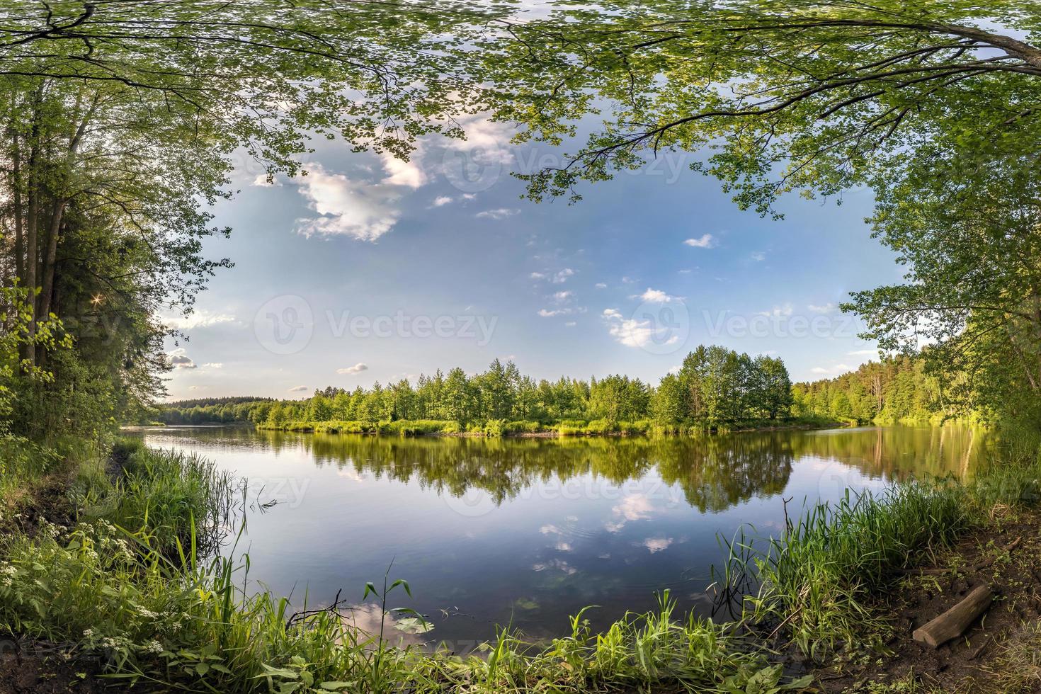 panorama bland de buskar av skog nära flod eller sjö foto