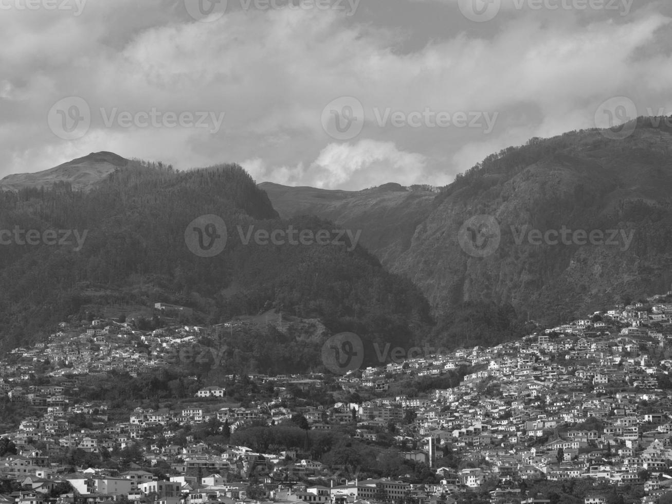 ön madeira foto