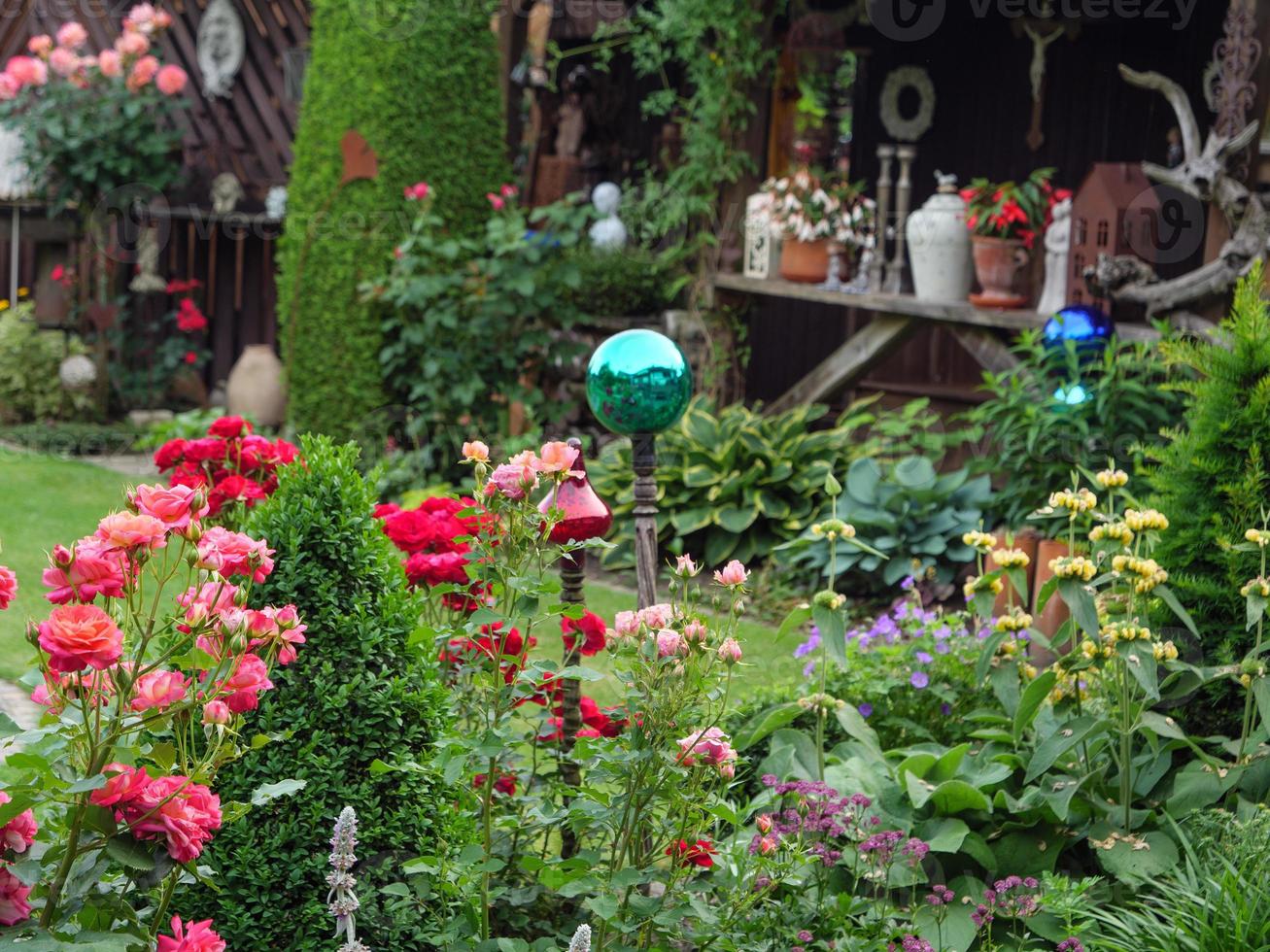 blödning blommor i en tysk trädgård foto