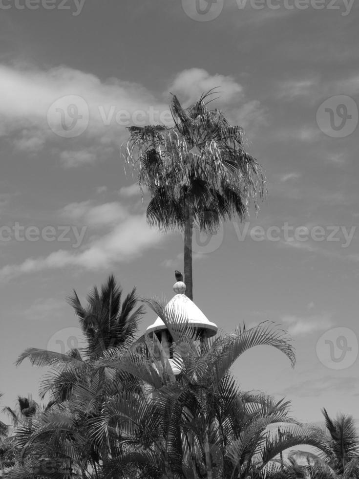 lanzarote i Spanien foto