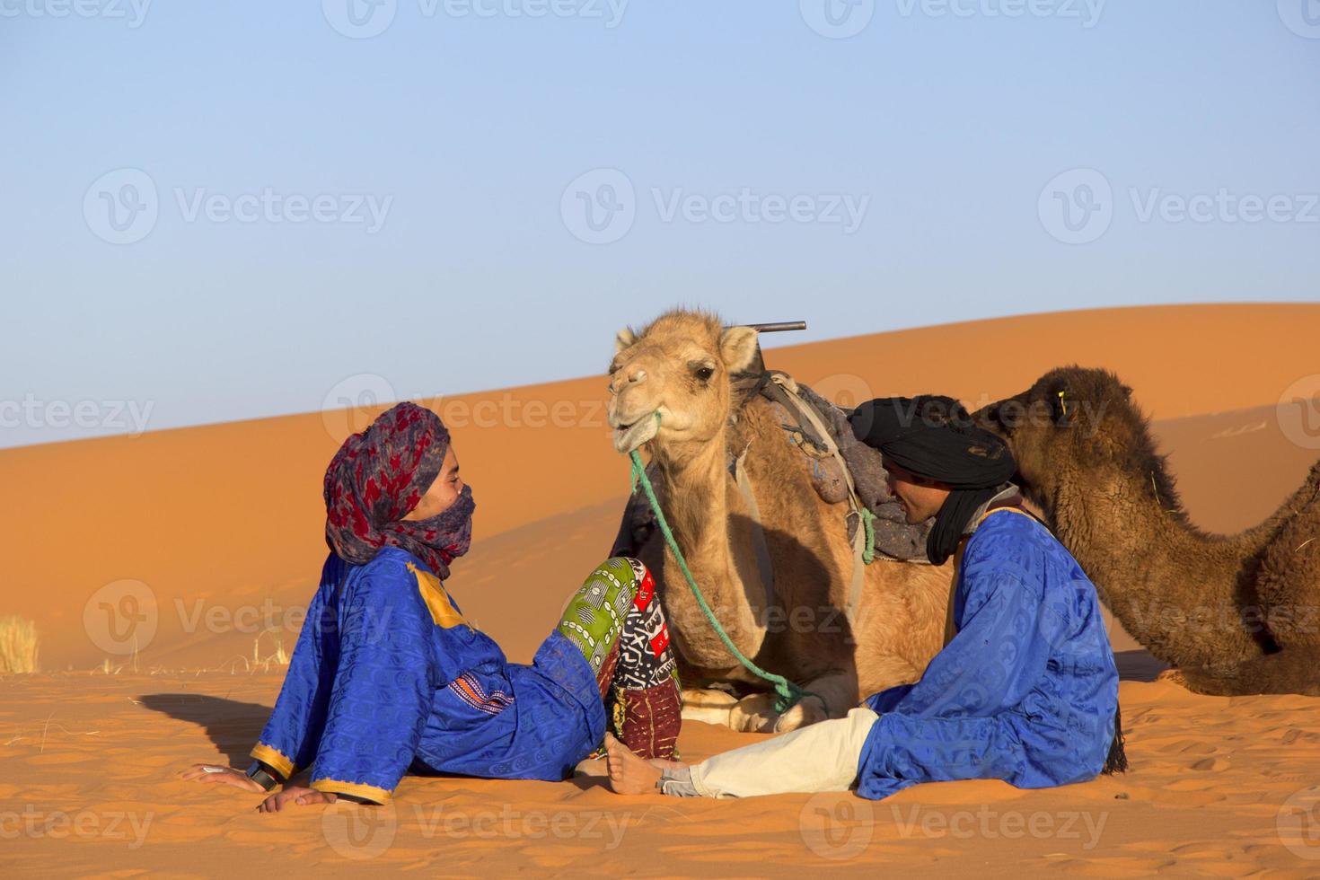 öken och beduiner foto