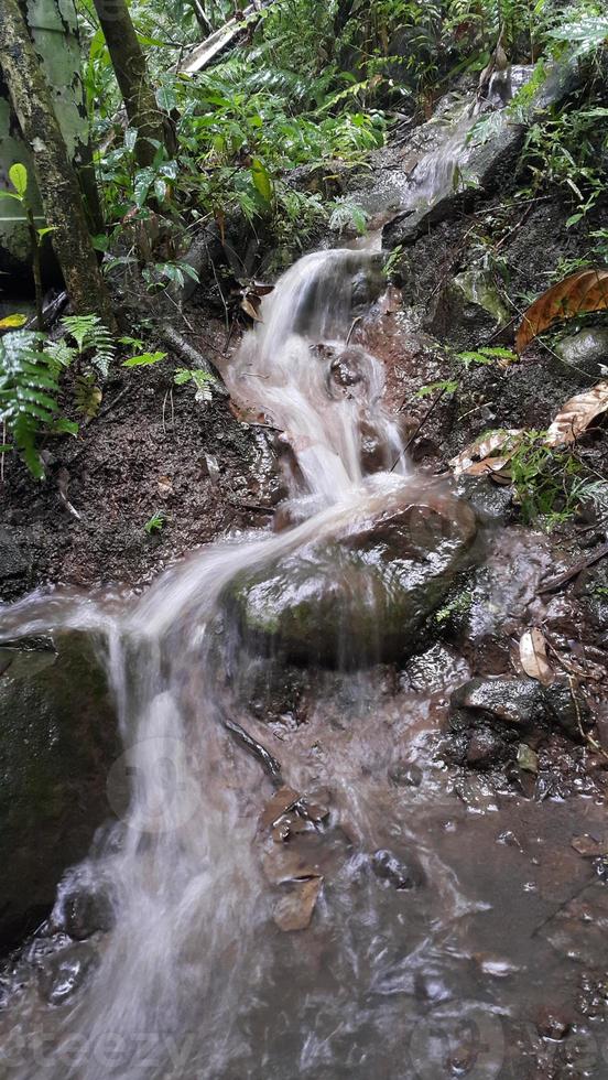 en små vattenfall den där inträffar när den regnar kraftigt i de skog. foto